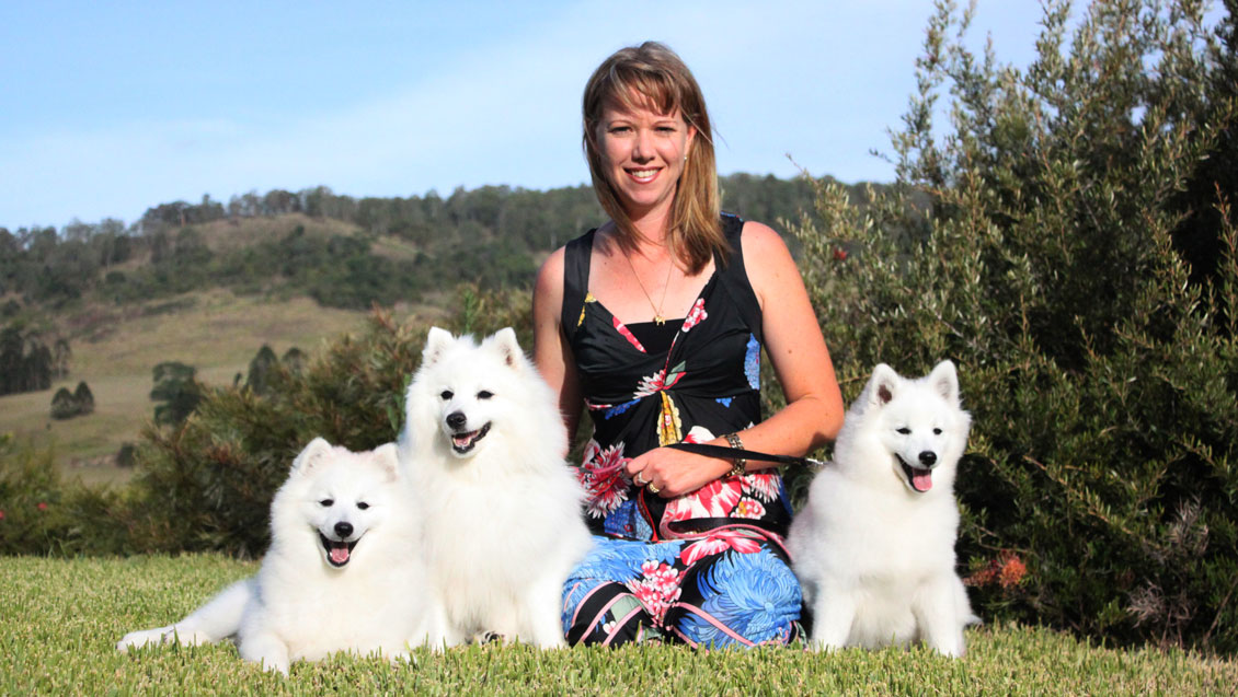 Home - Shanspitz Japanese Spitz